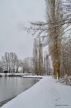 Martel janvier2019  (21)