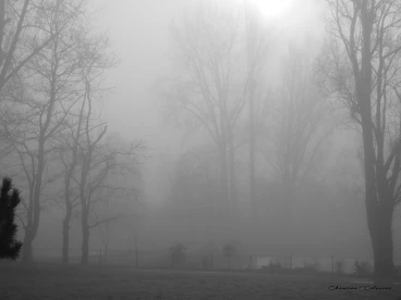 Martel decembre2019    (1)