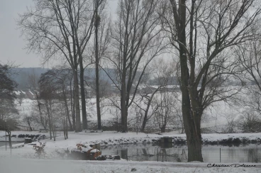 Martel janvier2019  (35)