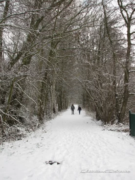 Martel janvier2019  (66)