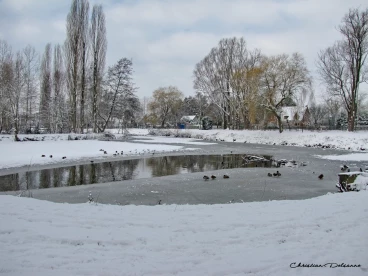 Martel janvier2019  (57)