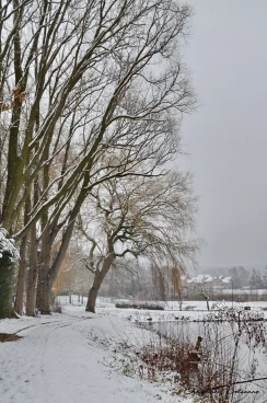 Martel janvier2019  (31)