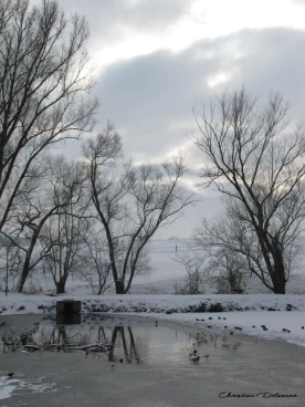 Martel janvier2019  (53)