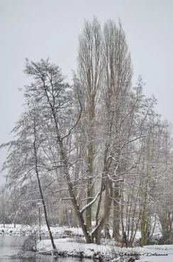 Martel janvier2019  (29)