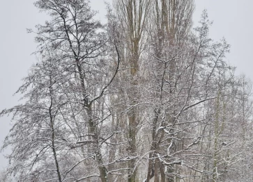 Les étangs Martel durant l'hiver 2019