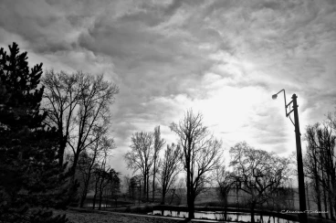 Martel janvier2020  (13)