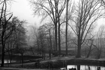 Martel janvier2020  (12)