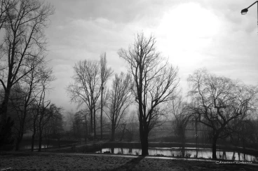 Martel janvier2020  (11)