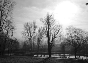Les étangs Martel durant l'hiver 2020