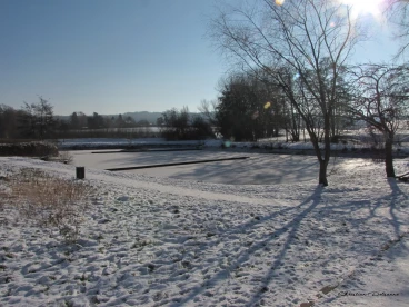 Martel fevrier2021   (50)