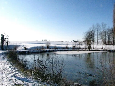 Martel fevrier2021   (48)