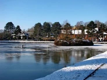 Martel fevrier2021   (65)