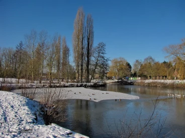 Martel fevrier2021   (54)