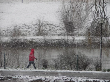 Martel janvier2021  (1)