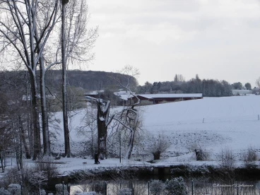 Martel avril2021    (3)