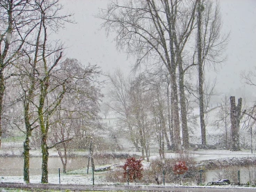 Martel janvier2021  (5)