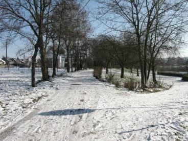 Martel fevrier2021   (44)