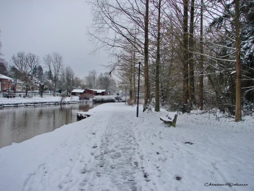 Martel fevrier2021   (26)