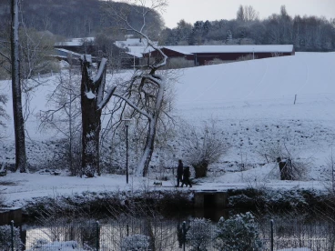 Martel avril2021    (2)