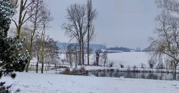 Martel fevrier2021   (10) stitch