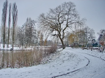 Martel fevrier2021   (16)