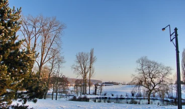 Martel fevrier2021   (32) stitch