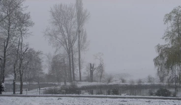 Martel avril2021    (5) stitch