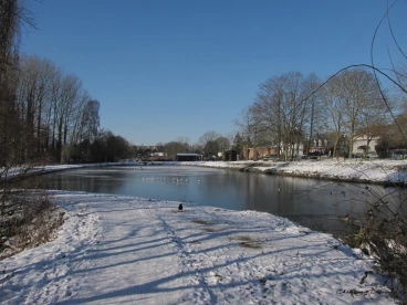 Martel fevrier2021   (55)