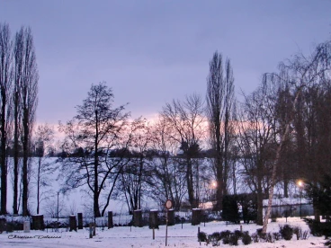 Martel fevrier2021   (39)