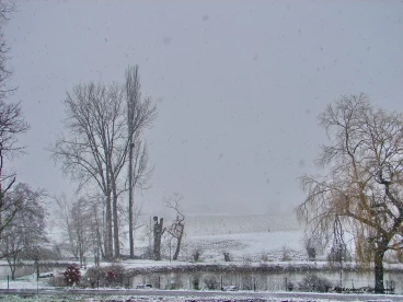 Martel janvier2021  (2)