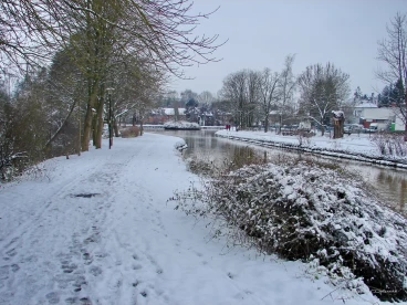 Martel fevrier2021   (21)