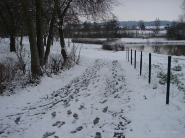 Martel fevrier2021   (14)