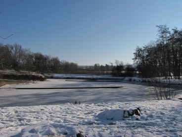 Martel fevrier2021   (53)