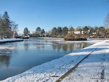 Martel fevrier2021   (66)