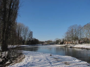 Martel fevrier2021   (57)