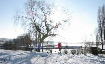 Martel fevrier2021   (41) stitch