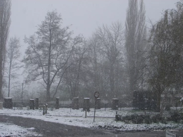 Martel avril2021    (9)