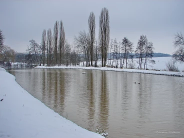 Martel fevrier2021   (19)