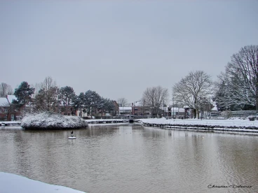 Martel fevrier2021   (28)