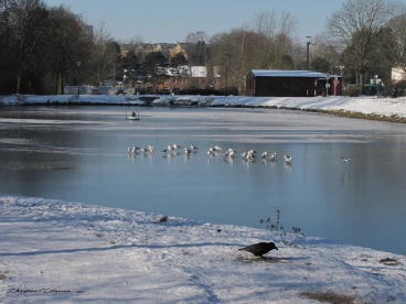 Martel fevrier2021   (56)