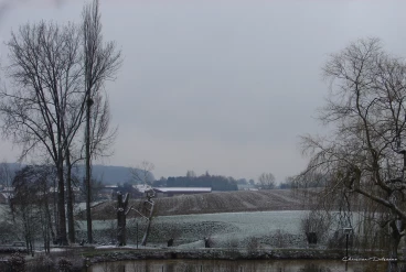 Martel fevrier2021   (1) stitch