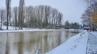 Martel fevrier2021   (17) stitch