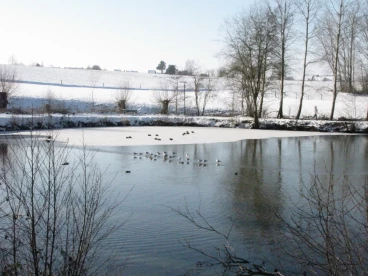 Martel fevrier2021   (46)