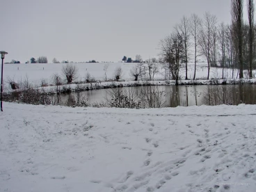 Martel fevrier2021   (15)