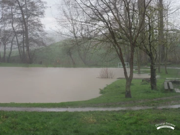 Martel mars2020   (4)