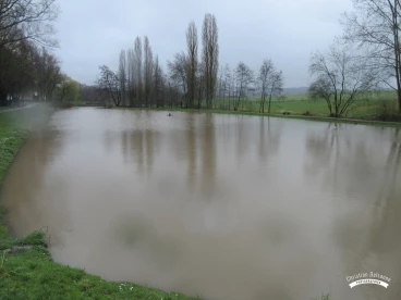 Martel mars2020   (26)