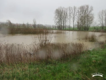 Martel mars2020   (17)