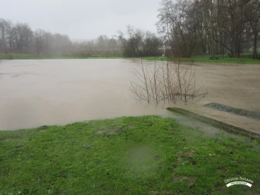 Martel mars2020   (8)