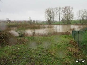 Martel mars2020   (13)