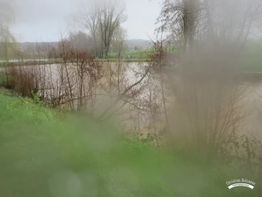 Martel mars2020   (22)